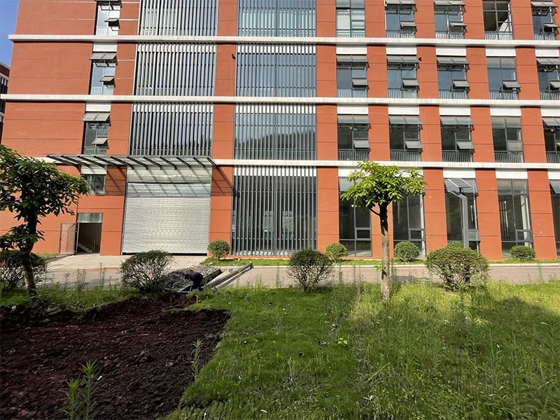 瀘州袁大頭麻辣雞項(xiàng)目